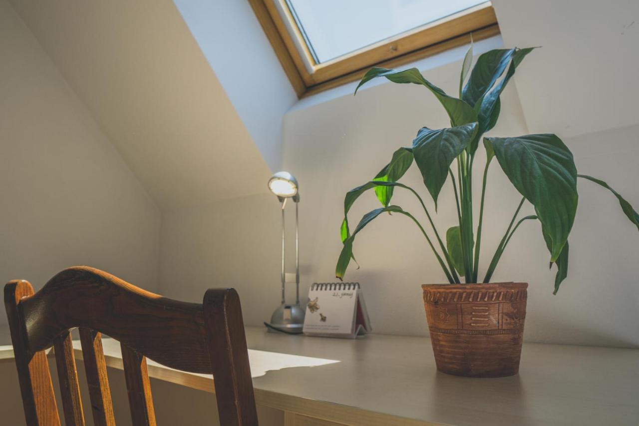 Apartment Amak With Free Onsite Parking Bovec Eksteriør bilde
