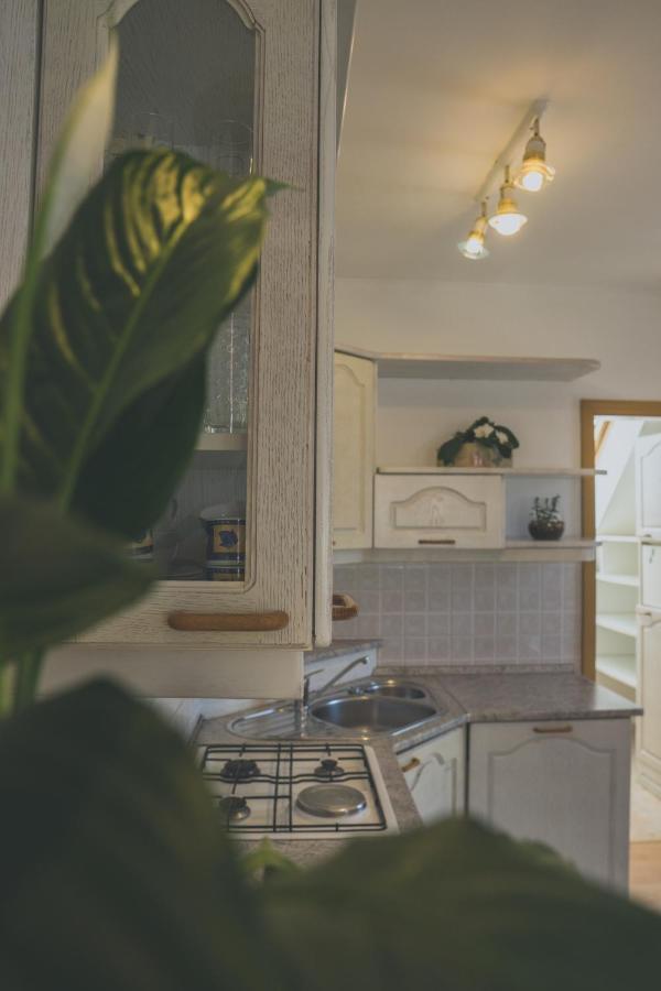 Apartment Amak With Free Onsite Parking Bovec Eksteriør bilde